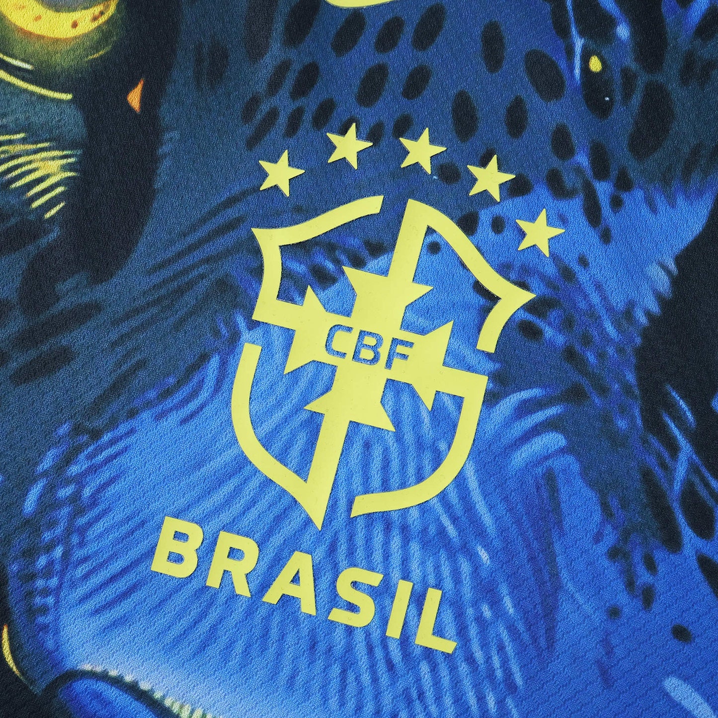 2526 season Brazil Concept version Fan version