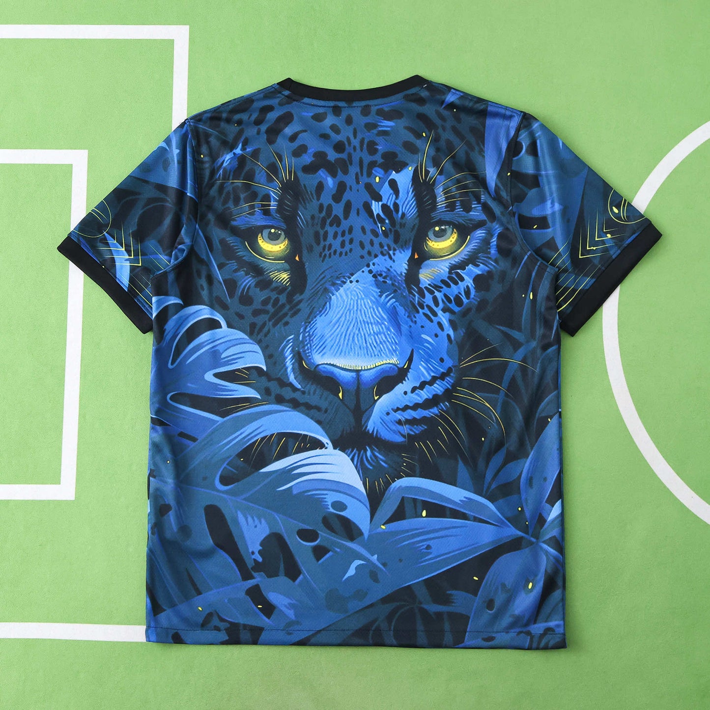 2526 season Brazil Concept version Fan version