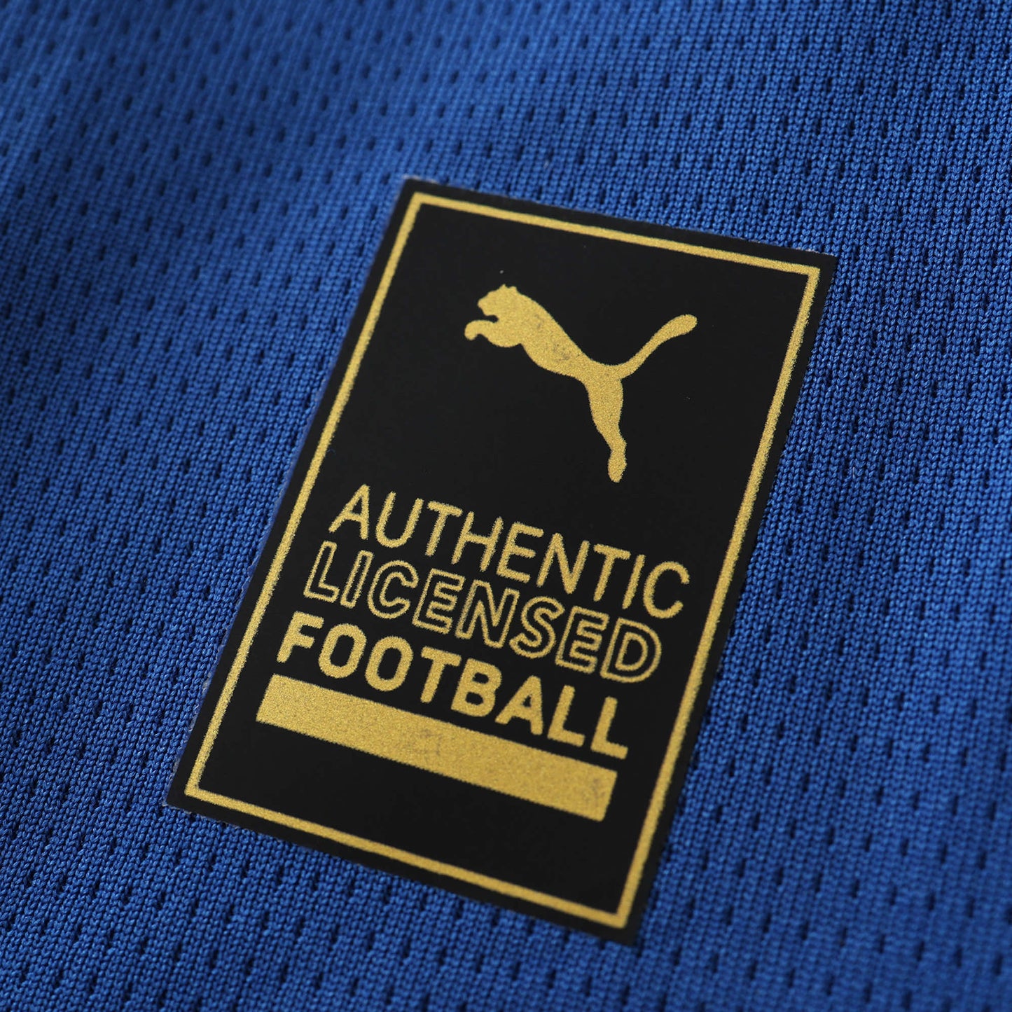 2425 season Al-Hilal Saudi Football Club home Fan version