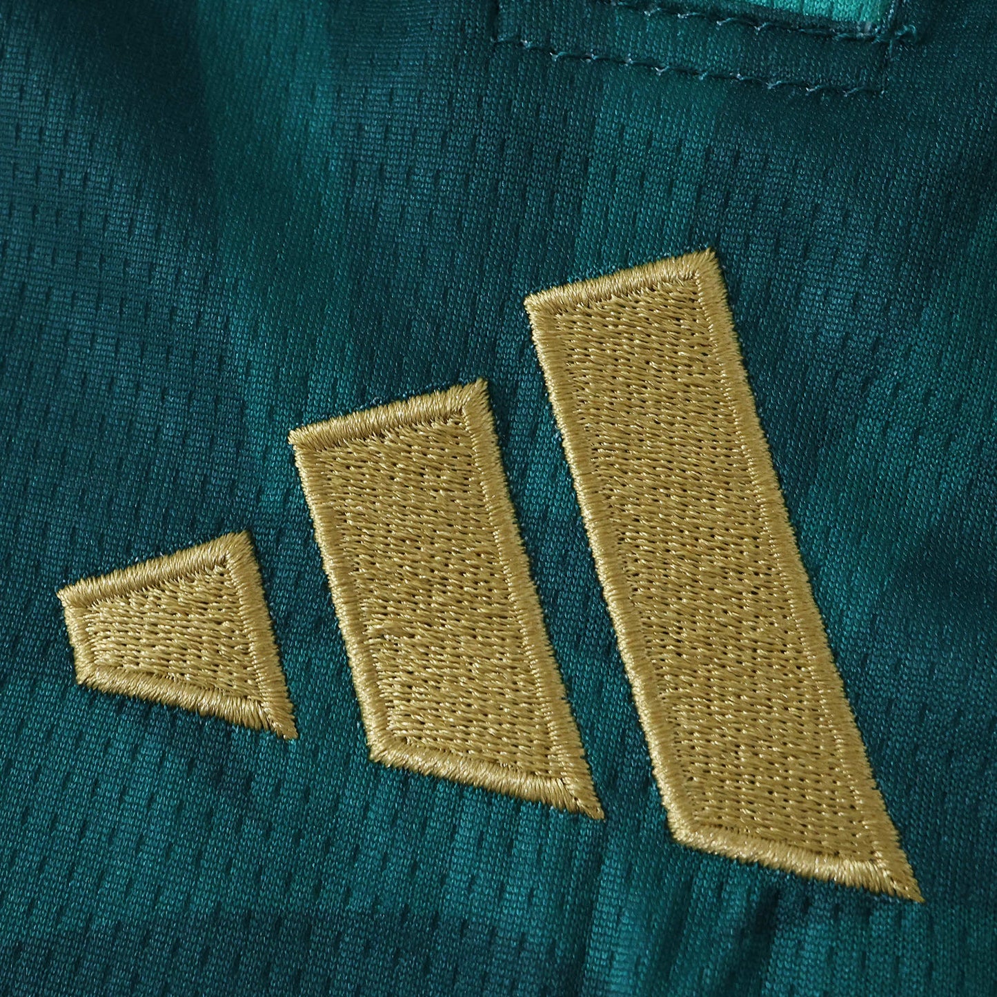 2526 season Mexico Concept version Fan version