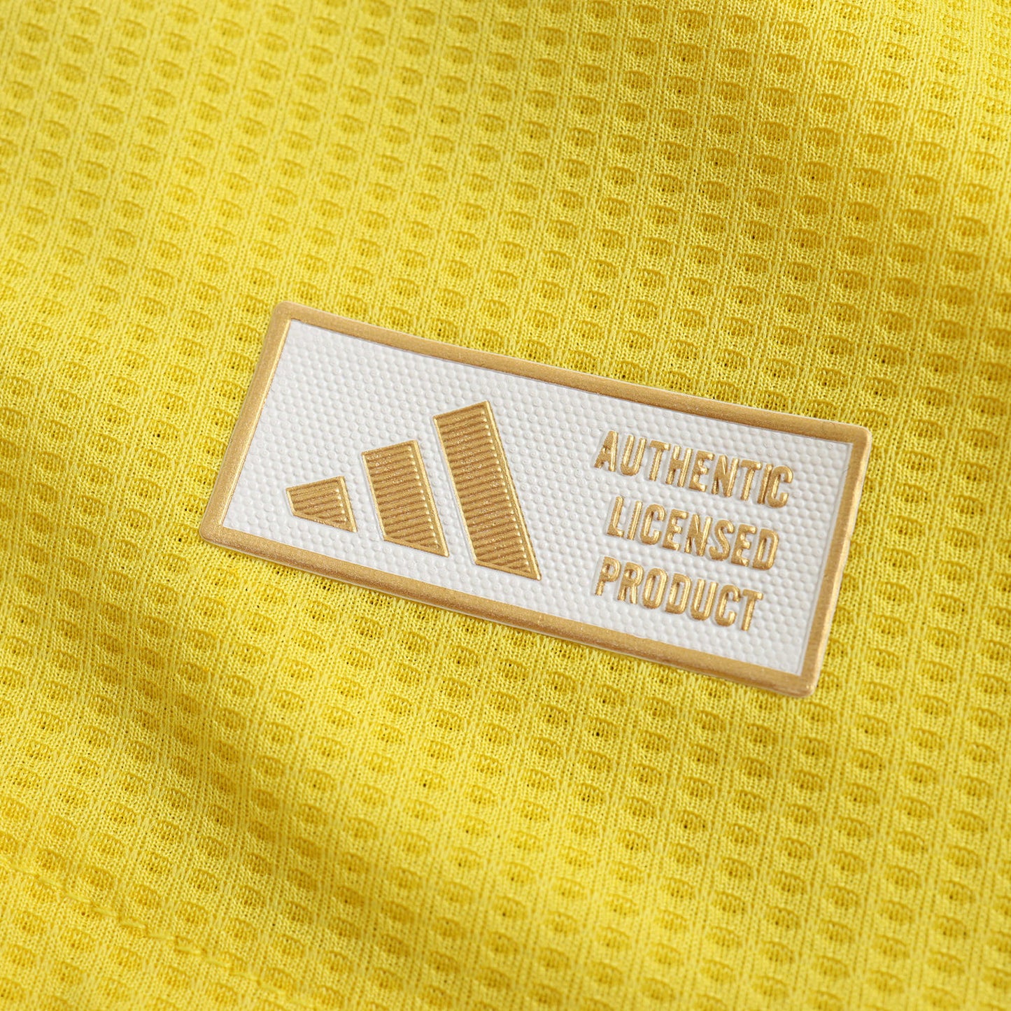 2425 season Al Nassr FC home Player version